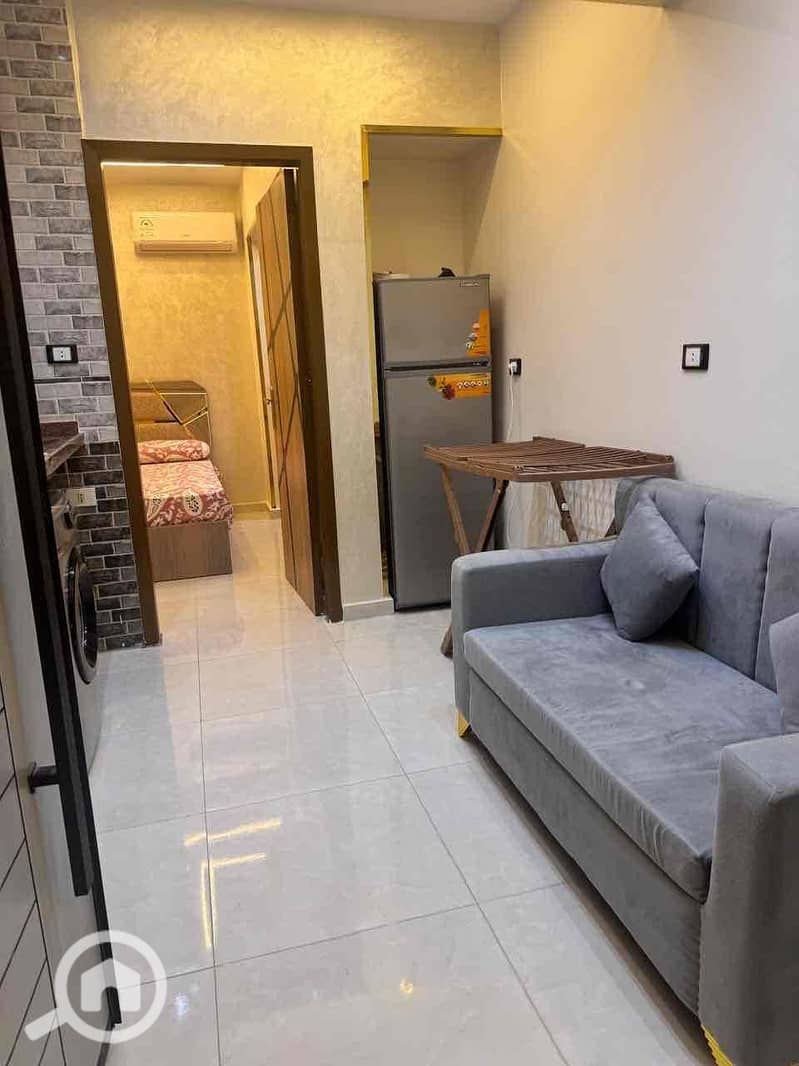 2 bf960a79-088c-43d8-ae91-7c08c25c8eb7. jpg