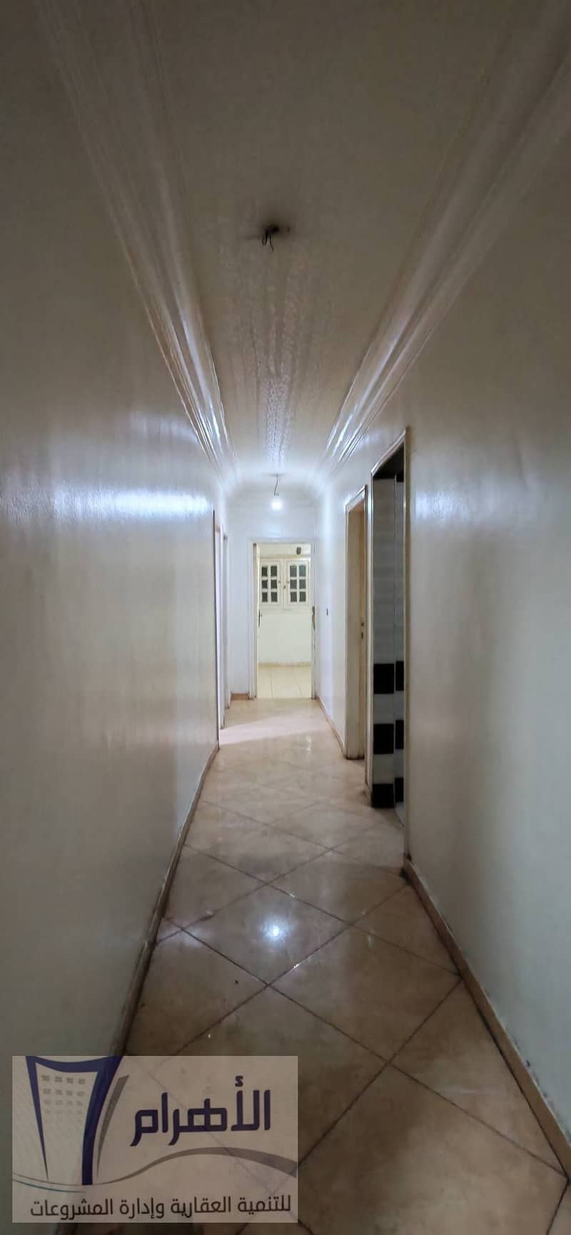 11 606459973_1172437551701111_8114907537421252008_n. jpg