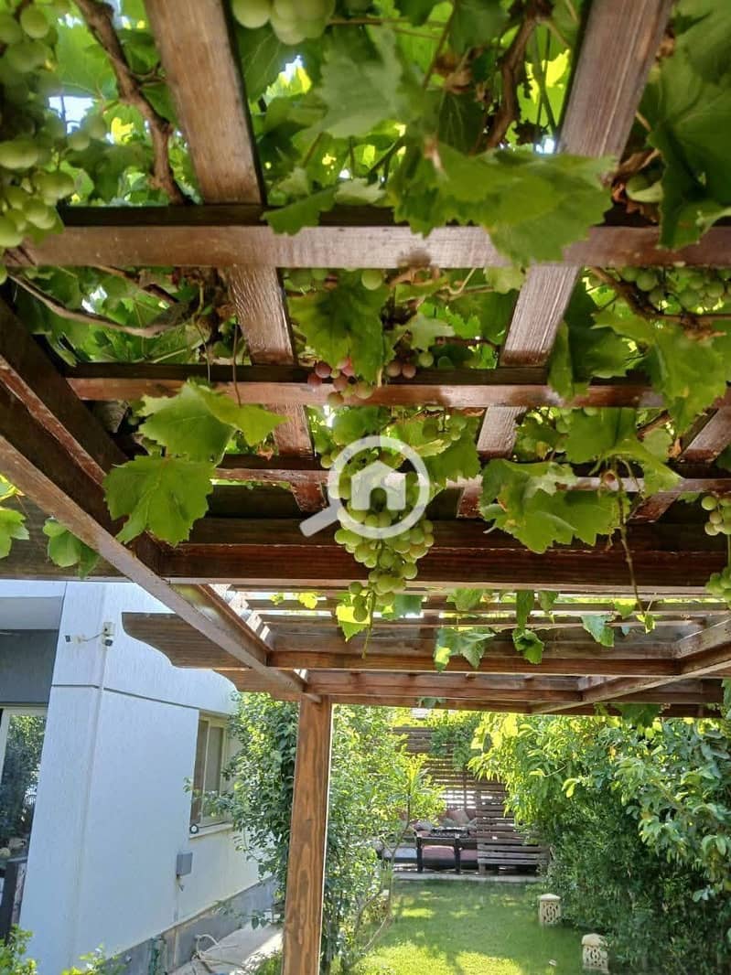 4 592763850_880423107854285_2386239643340965164_n. jpg