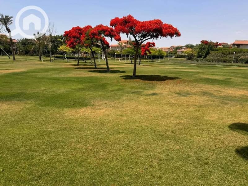 10 587968437_873109531918976_6862538208932598502_n. jpg