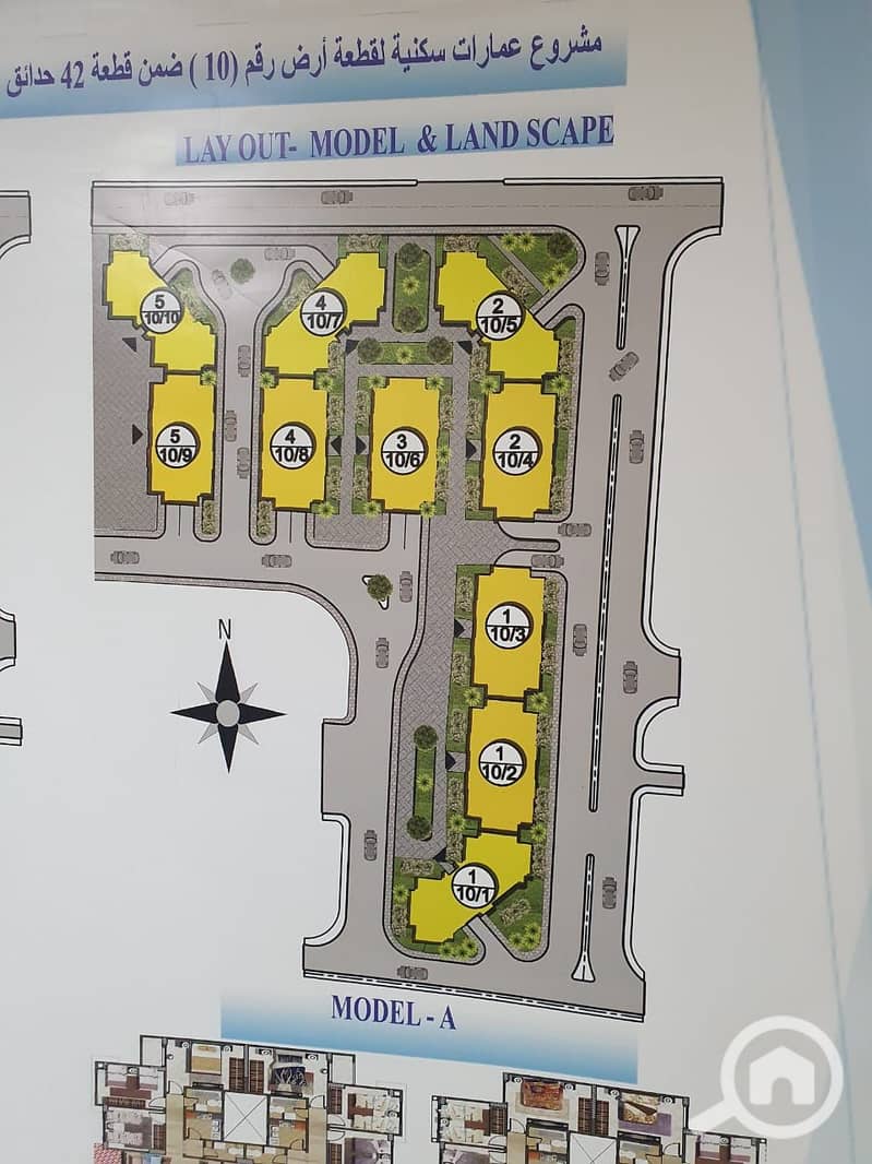 9 90516c75-cc77-4232-9448-e57dc6664378. jpeg