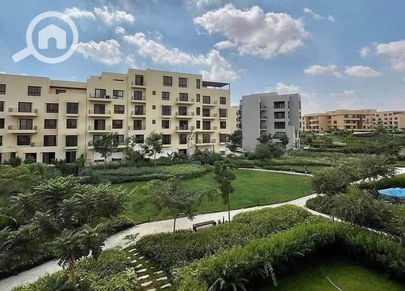 6 583347142_1336005618072738_5906828635891515135_n. jpg