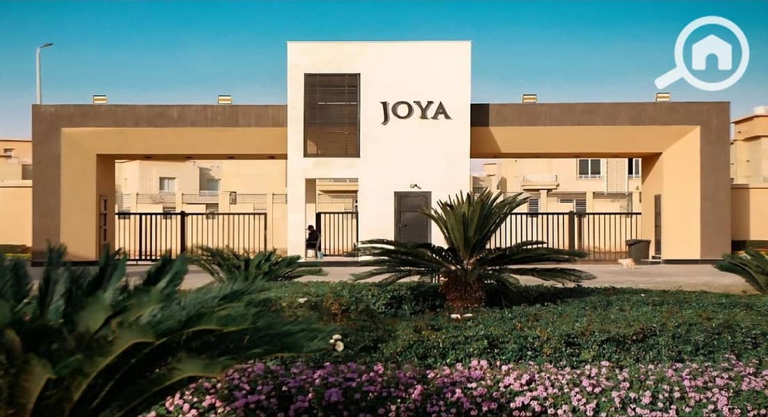 7 photo_8_2025-12-28_01-53-18. jpg