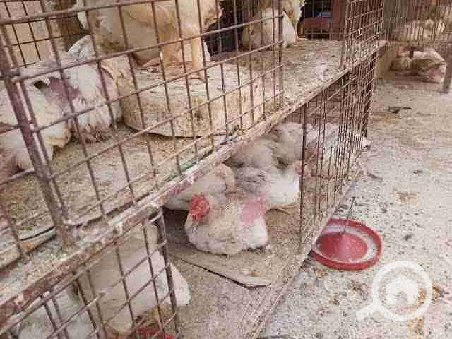 1000514465. jpg 1000514465. jpg