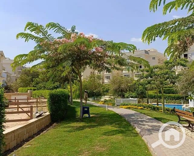 4 Screenshot 2024-09-18 160531. png