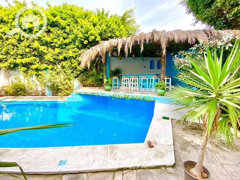 13 c2023417-a17e-47c0-83a9-f2422b9b014b. jpg