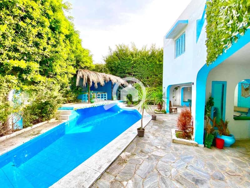 16 6451516e-4759-4a6b-b4b6-1f9230c9757f. jpg