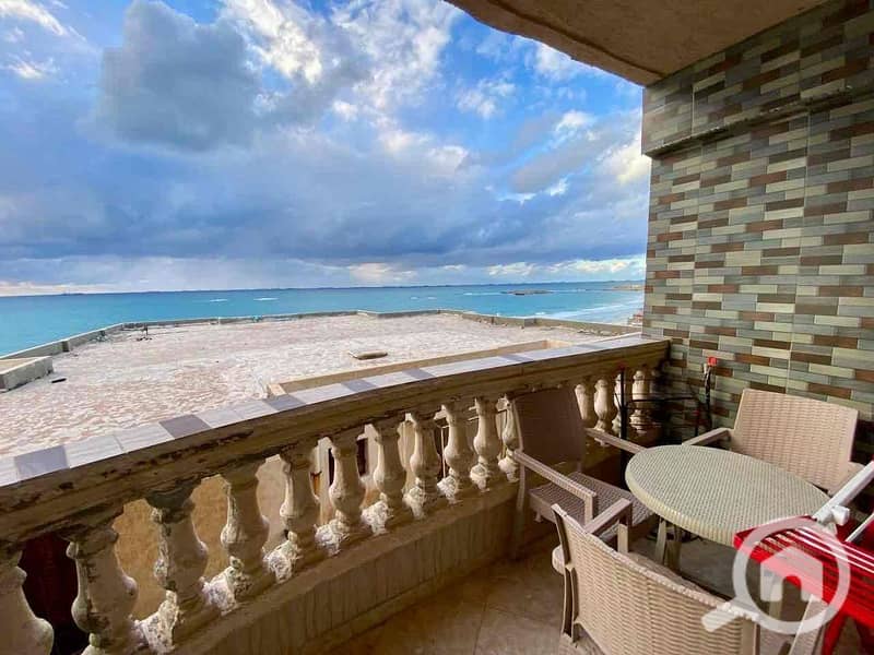 2 9fe4ee0d-c8f5-4686-ba29-bffbcd17107d. jpg