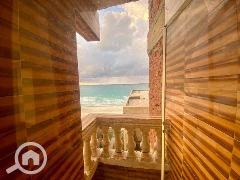 11 737ee158-1b17-4cd2-aedf-e6b78f8fb7c7. jpg