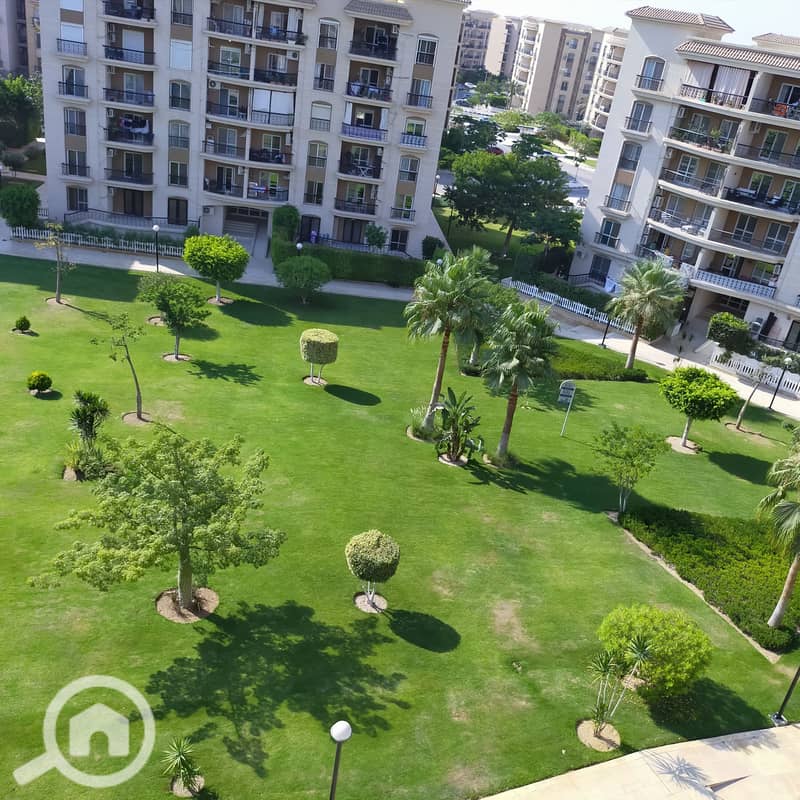 2 IMG20210711154852. jpg