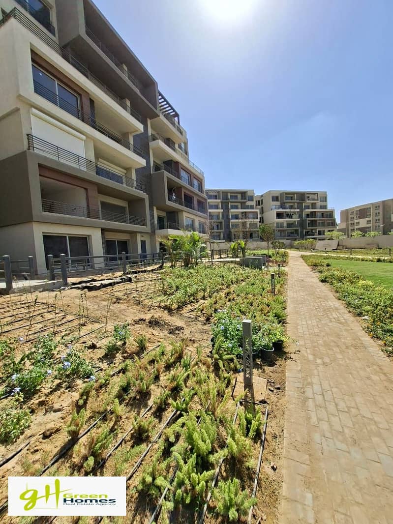 4 WhatsApp Image 2025-12-17 at 2.37. 31 PM. jpeg