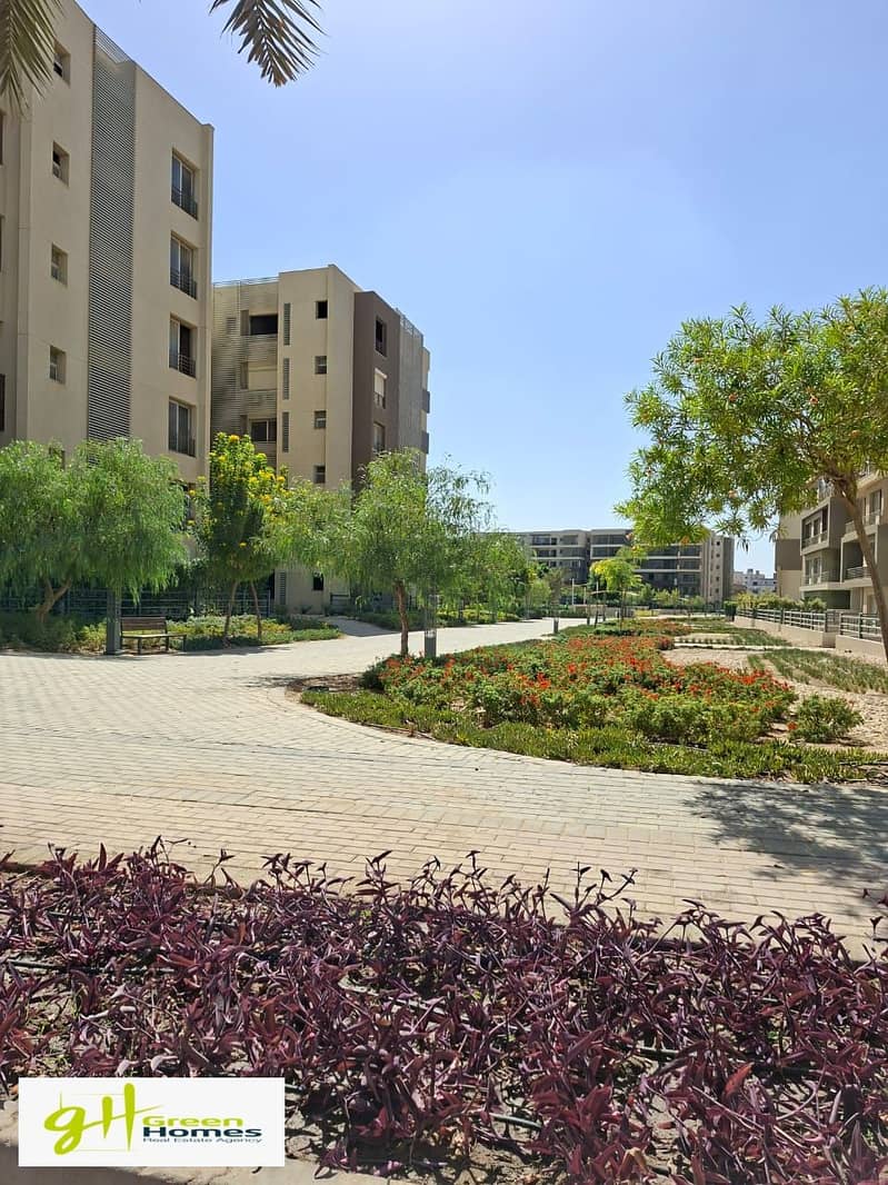 6 WhatsApp Image 2025-12-17 at 2.37. 44 PM. jpeg