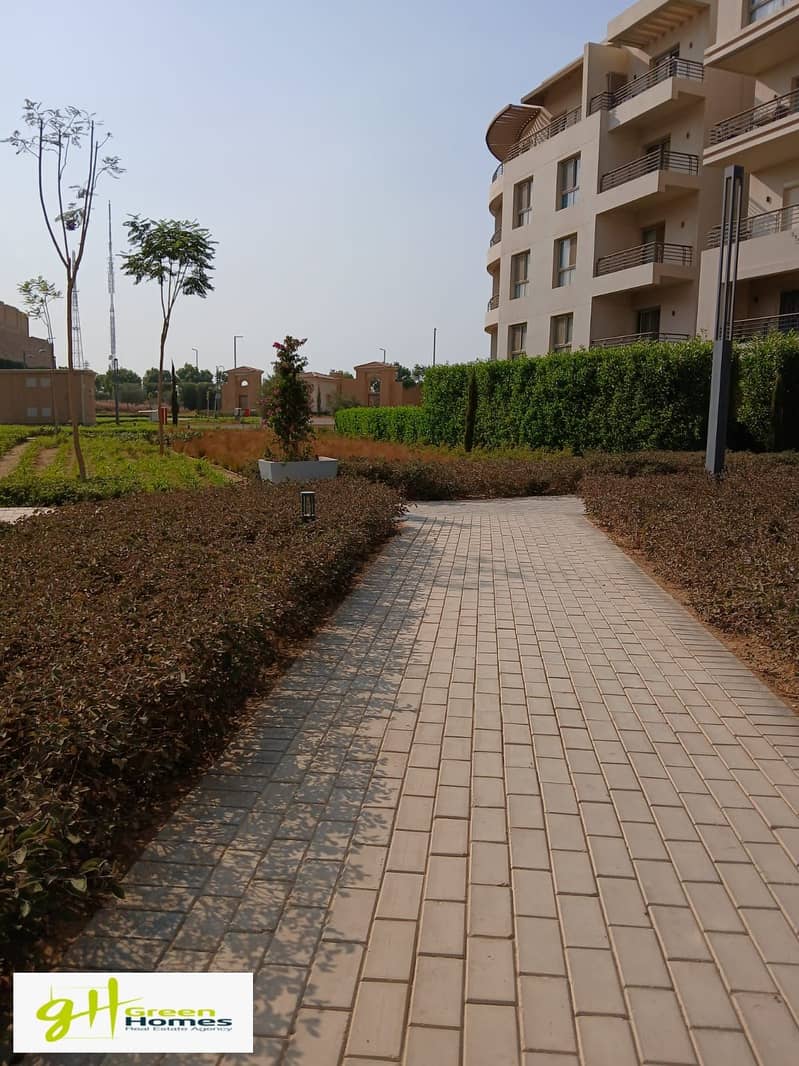 14 WhatsApp Image 2025-10-27 at 13.14. 47 (3). jpeg