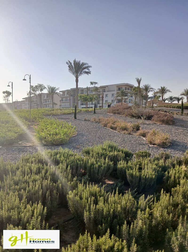 11 WhatsApp Image 2025-10-27 at 13.14. 32 (4). jpeg