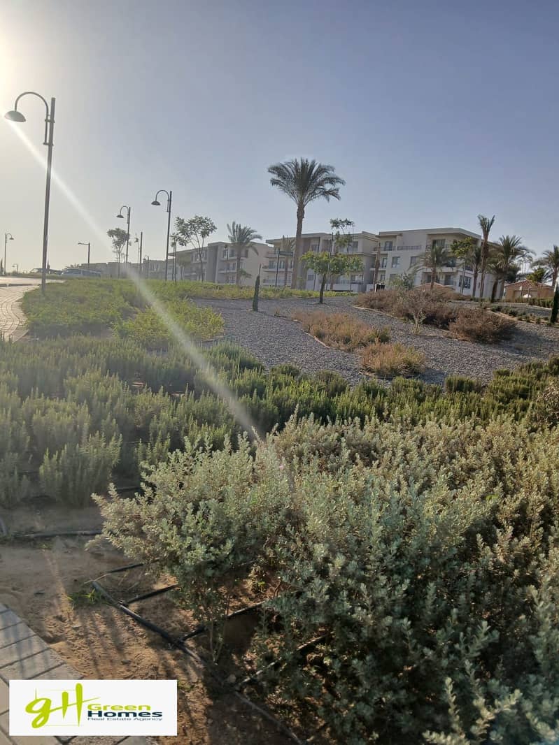 13 WhatsApp Image 2025-10-27 at 13.14. 34 (2). jpeg