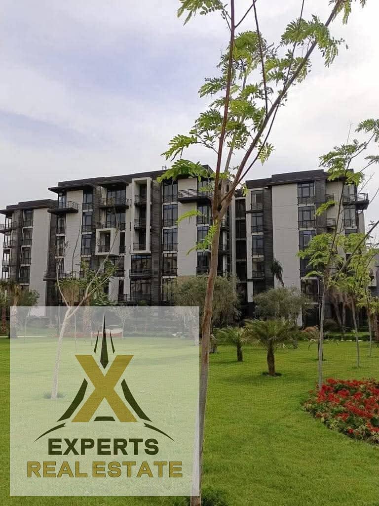 WhatsApp Image 2025-08-11 at 3.25. 45 PM (4). jpeg WhatsApp Image 2025-08-11 at 3.25. 45 PM (4). jpeg