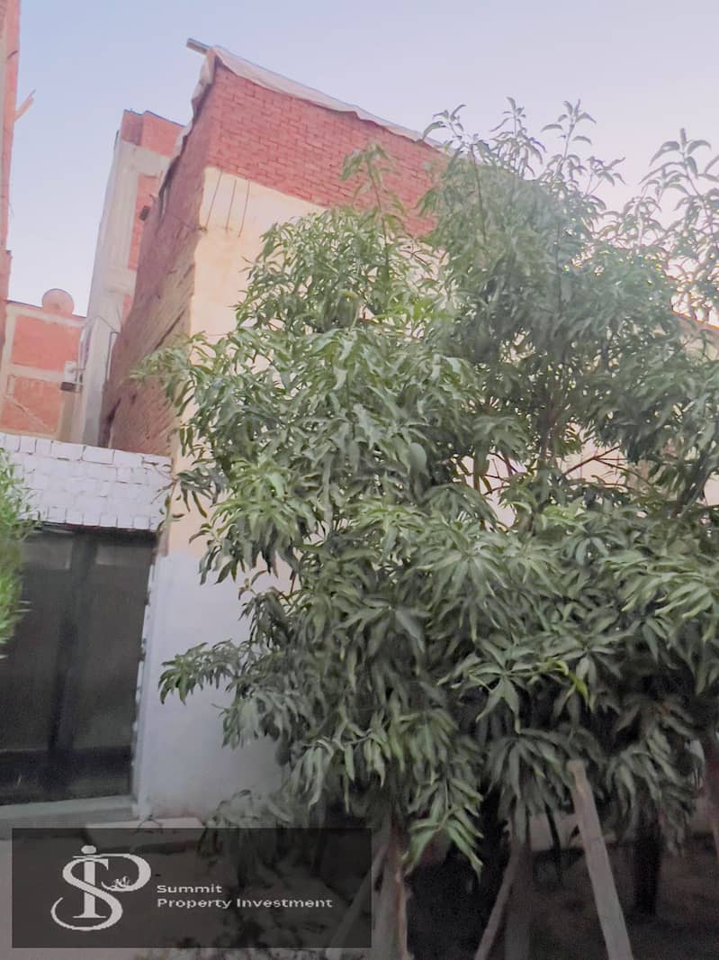 3 WhatsApp Image 2025-07-31 at 13.50. 53_b56dd531. jpg