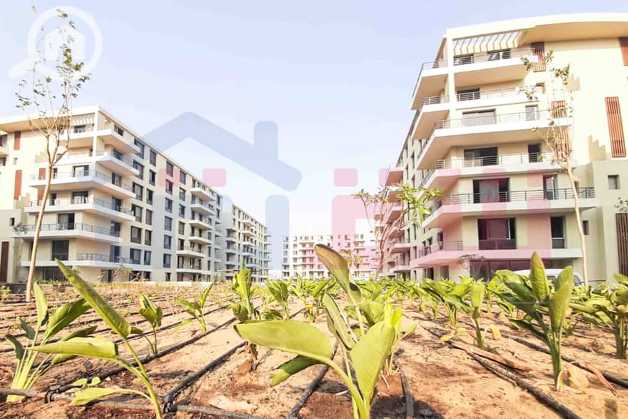 4 WhatsApp Image 2025-08-16 at 5.13. 48 PM (1). jpg