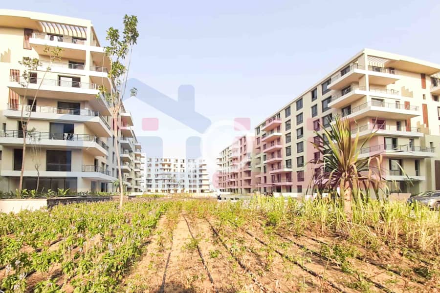 5 WhatsApp Image 2025-08-16 at 5.13. 48 PM. jpg