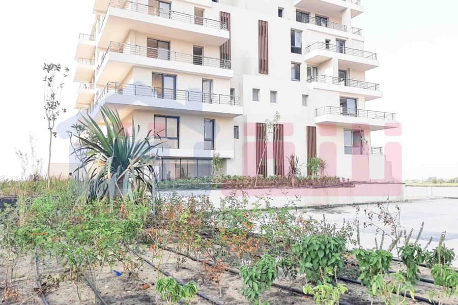 6 WhatsApp Image 2025-08-16 at 5.14. 49 PM. jpg