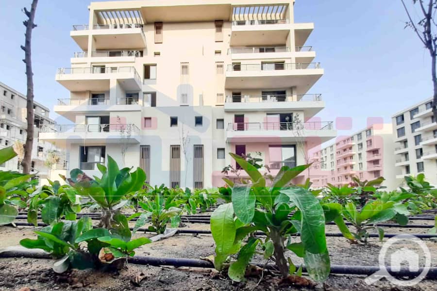 7 WhatsApp Image 2025-08-16 at 5.14. 52 PM. jpg