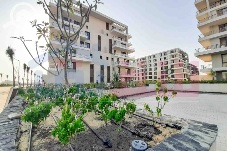 8 WhatsApp Image 2025-08-16 at 5.14. 54 PM. jpg