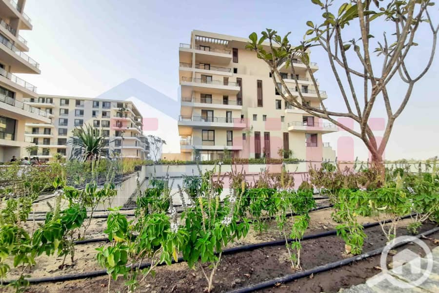 9 WhatsApp Image 2025-08-16 at 5.14. 55 PM. jpg