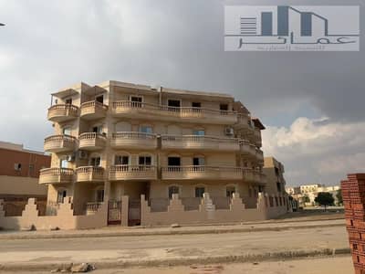 3 Bedroom Apartment for Sale in Shorouk City, Cairo - WhatsApp Image 2025-12-27 at 4.33. 42 PM. jpeg