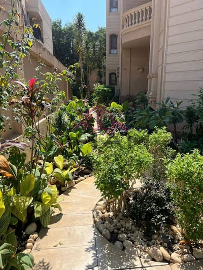 1 Bedroom Apartment for Rent in New Cairo, Cairo - photo_5947134253365660830_y. jpg