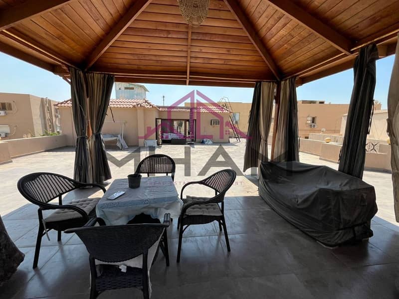 2 photo_5947134253365660838_y. jpg