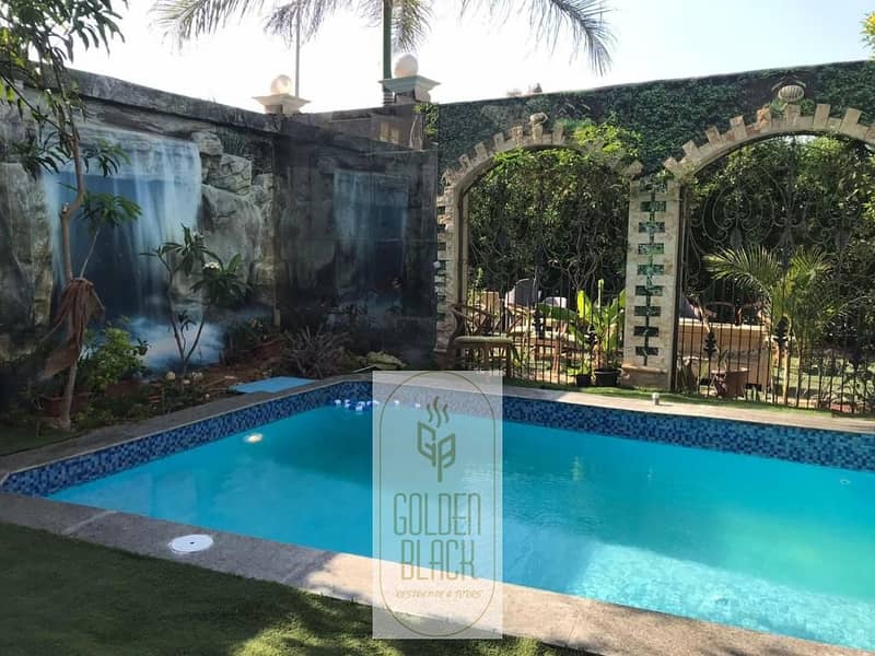 5 372982840 (1). jpg