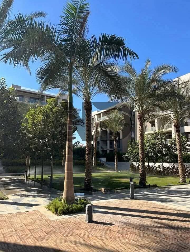 12 605106235_122224372496324825_7988906307245747654_n. jpg