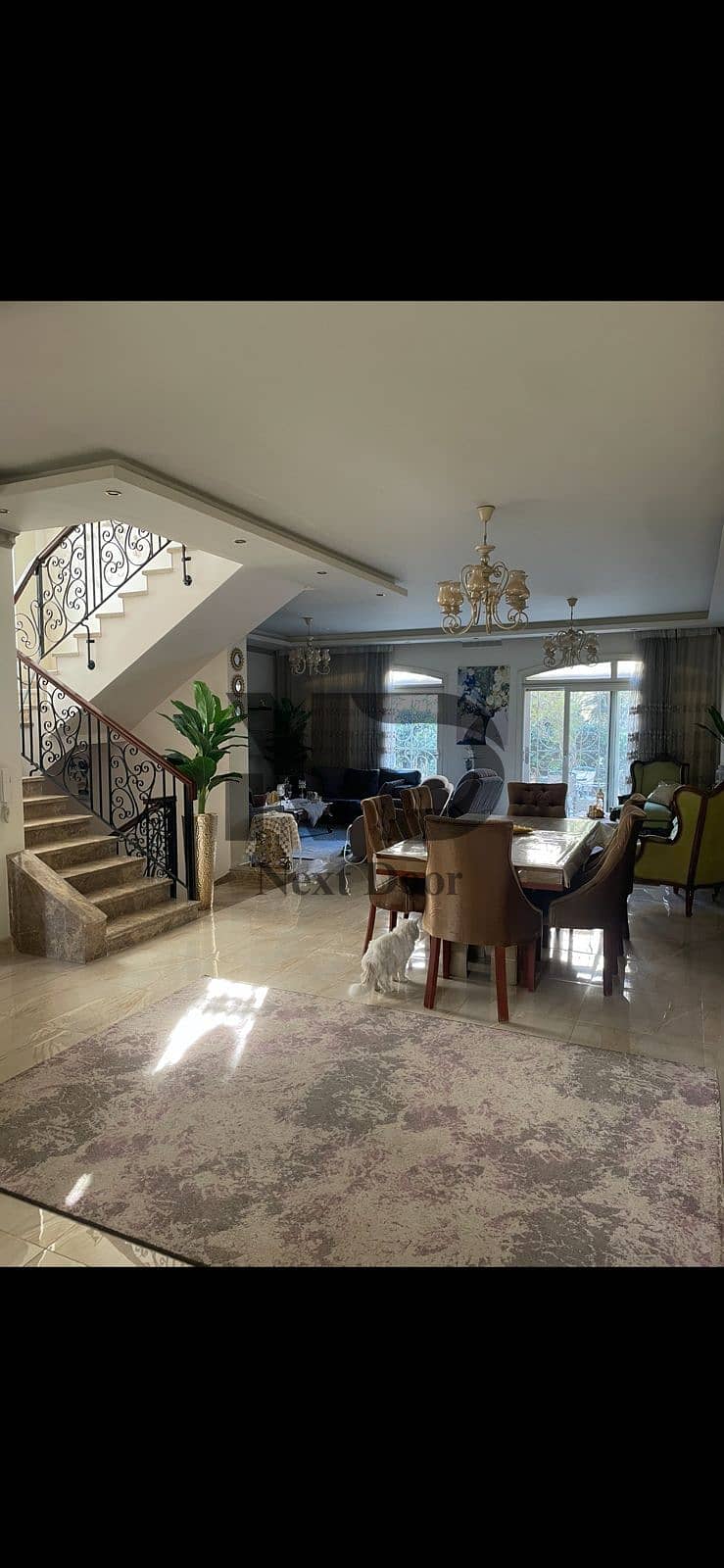 13 WhatsApp Image 2025-09-28 at 4.48. 16 PM (2). jpeg