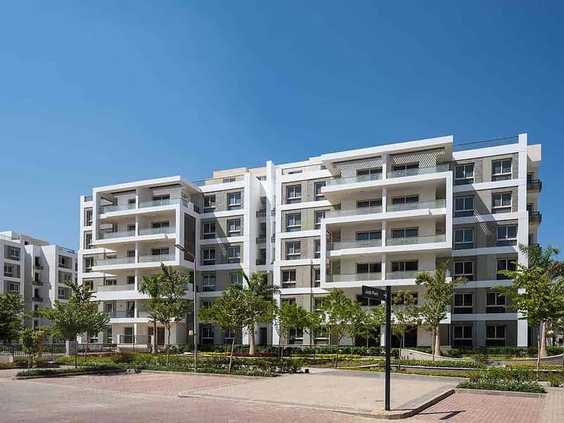 10 47d47287-026f-4f1b-ba05-6111bbf4e9fe. jpg