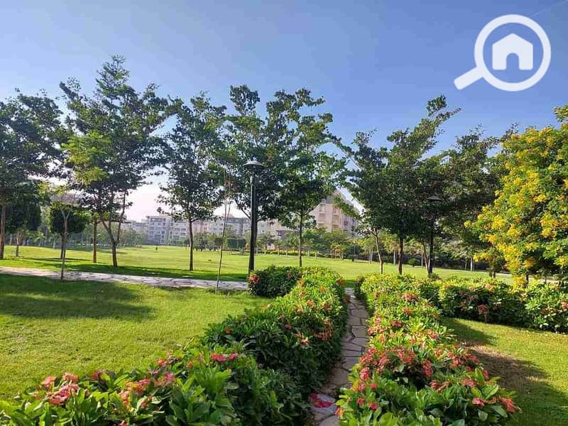 6 FB_IMG_1727952688055. jpg