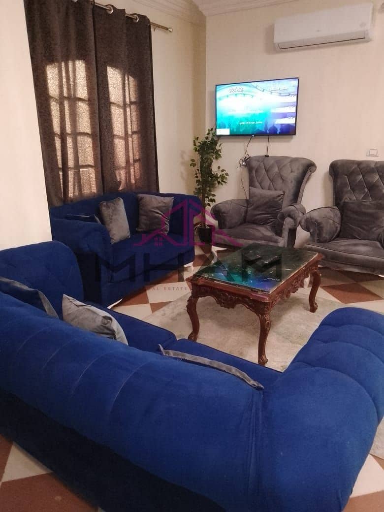 3 photo_5938139745739279557_y. jpg