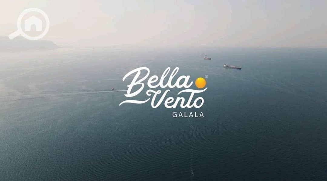 3 0a0c16d7-6a0b-48af-b673-7da2ced02549. jpg