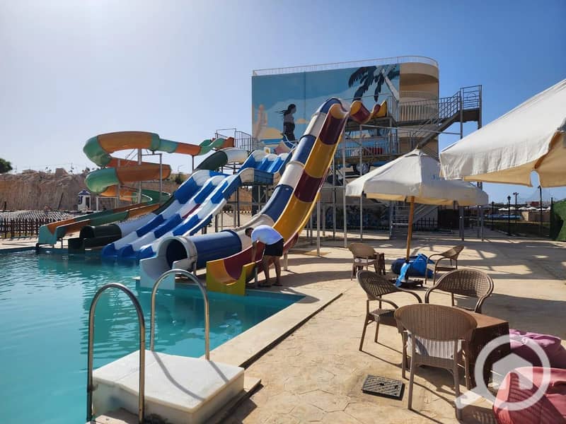 13 IMG-20250810-WA0147. jpg