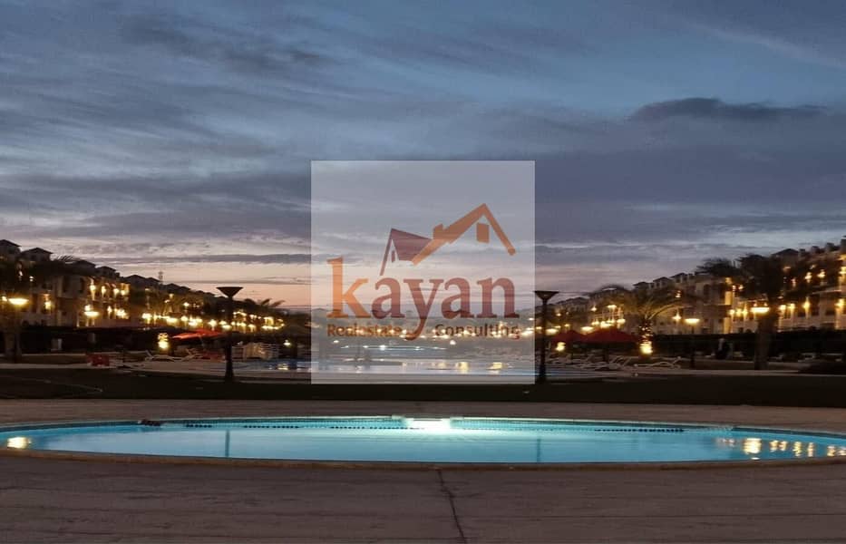 4 8de21e11-2a7e-42d8-901a-5f91591927c7. jpg