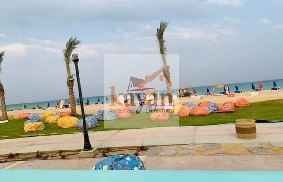 10 b4c0adb0-41fe-433e-8356-6dd69f950262. jpg