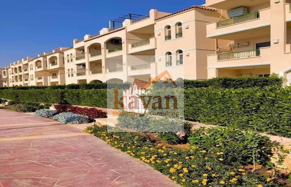 13 bf09dead-4760-427c-973b-444fc6555945. jpg