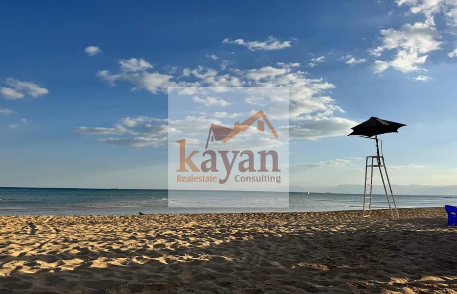 15 df92a91a-76ed-4f02-8b8f-b267ea0d5746. jpg