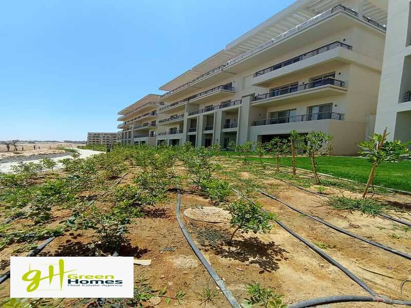 10 WhatsApp Image 2023-07-10 at 3.35. 26 PM (1). jpeg