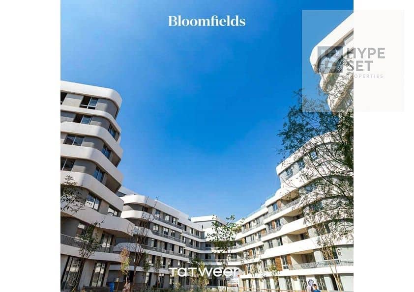 11 6452af7c-383f-44d0-8256-5fa22f4e7d94. jpg