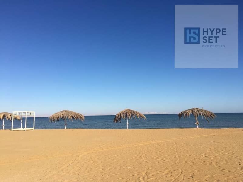 3 d4b16b59-1d3e-4b3c-b41c-e0524248aa53. jpg