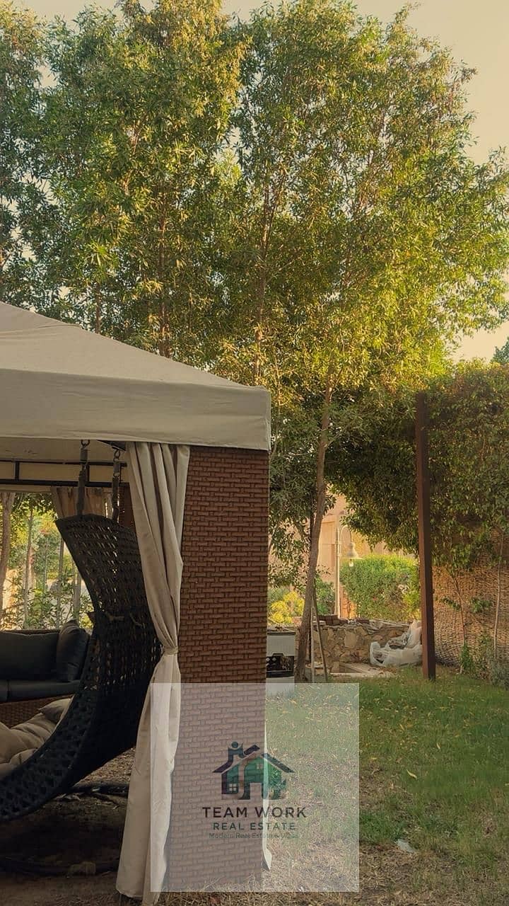 11 af650673-5bdb-4f0b-9d95-78f9186c426c. jpg