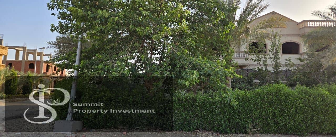 3 IMG-20250803-WA0065. jpg