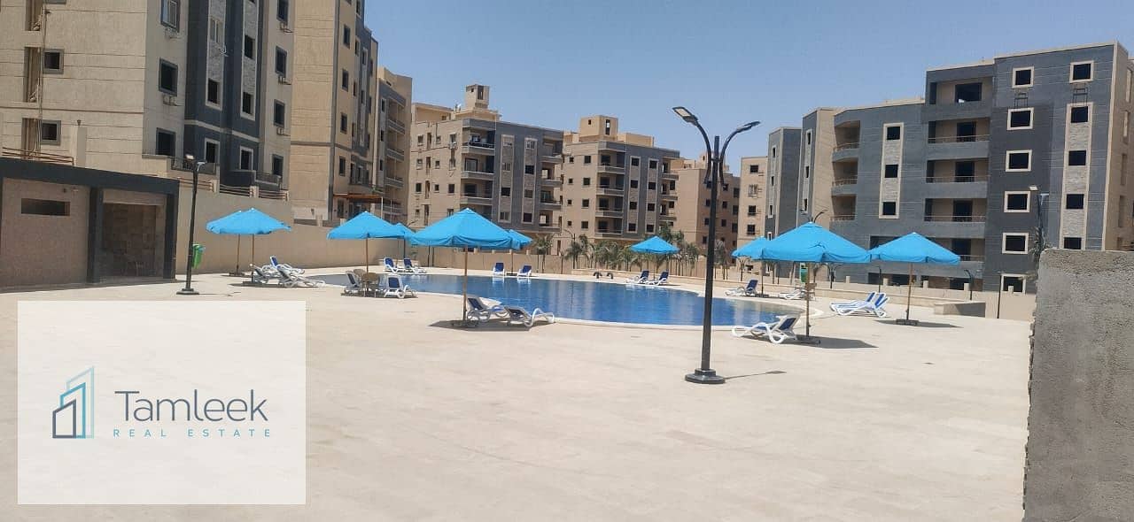 11 WhatsApp Image 2024-11-03 at 5.28. 40 PM (5). jpeg