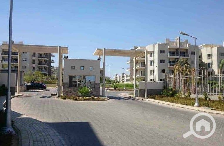 4 WhatsApp Image 2025-10-07 at 4.45. 49 PM. jpeg