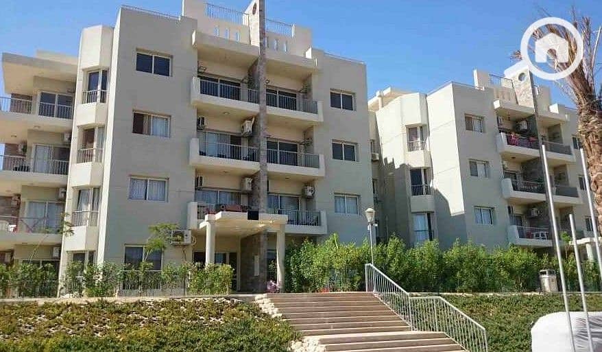 6 WhatsApp Image 2025-10-07 at 4.45. 50 PM (2). jpeg